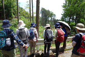 －終了しました－　10月21日　山歩き講習「箕面の山から、はじめの一歩」（対象：高校生以上）