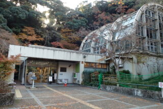 【昆虫館　臨時休館のおしらせ】1月27日～1月31日　設備メンテナンスのため臨時休館