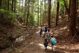 【終了しました】5月4日 楽しむ近くの低山ハイク「みのおの森でおやこトレッキング」