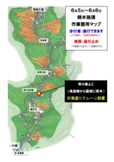 【終了しました】6月5日 滝道沿いでの倒木撤去作業は終了しました（※6日の作業はありません）