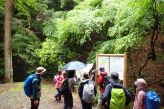 【終了しました】6月8日　山のスペシャリストと行く、近くの低山・箕面ふかぼりトレッキング①：役行者ゆかりの天上ヶ岳へ　