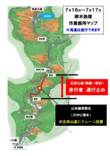 【終了しました】7月16日-17日　倒木撤去作業