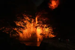 2025秋のライトアップ：箕面大滝ほか11月15日～12月7日