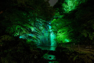 4月26日～5月6日　箕面大滝”新緑”ライトアップ