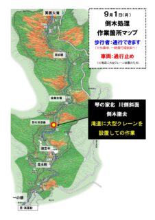9月1日(月)　滝道（琴の家北）にて倒木撤去作業を行います（※通行規制あり）