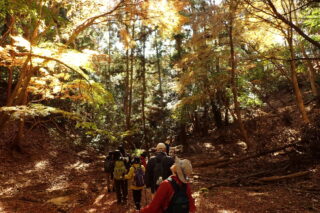 【参加者募集中(先着順)】11月30日 楽しむ、近くの低山ハイク「紅葉・黄葉トレッキングinみのお」