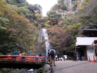 【おしらせ】箕面公園の紅葉情報　11月11日現在