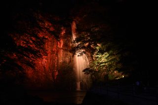 2026秋のライトアップ：箕面大滝ほか11月14日～12月6日