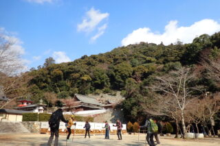 【参加者募集中（先着順）】2/22 Minohネイチャーノルディックウォーキング（講座・初心者OK・ポール貸出しあり）