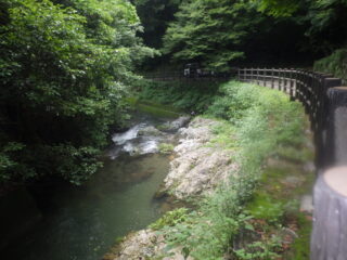 7月7日（火）、8日（水）滝道沿いで除草作業をおこないます
