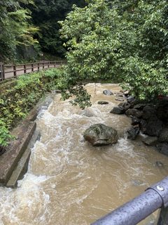 8月28日未明の雷雨により箕面川は増水しています（滝前ベンチエリア立入制限中）